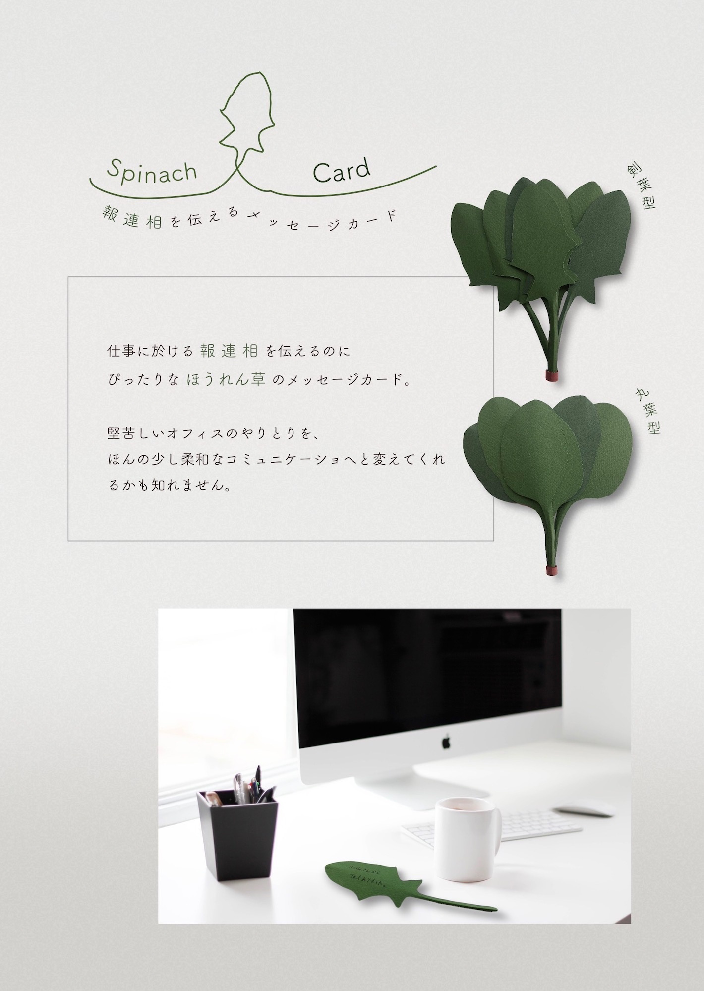 一般　サンスター文具賞 「Spinach Card」山形　隼（ヤマガタ　ジュン）様