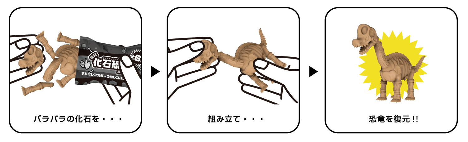 親子で化石型消しゴムを組み立てよう！ 『復元 化石恐竜消しゴム